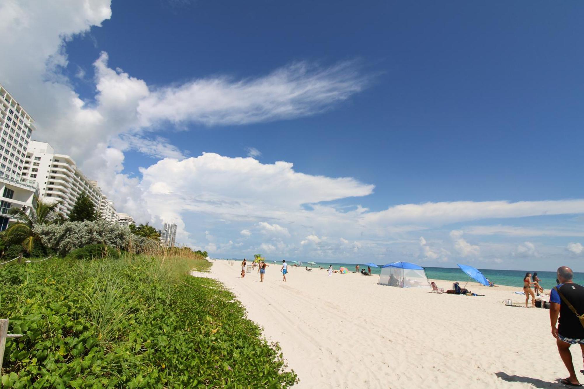 Castle Pavillon 8 Beachfront - Private Beach Access Loft With 2-Story, Pool, Tennis, Free Parking Access Miami Beach Exterior foto